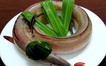 Gỏi cá dưa- món ngon nức tiếng làng biển xứ Thanh