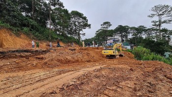 Lâm Đồng yêu cầu thực hiện công tác phòng, chống sạt lở đất sau vụ 2 người tử vong tại đèo Prenn