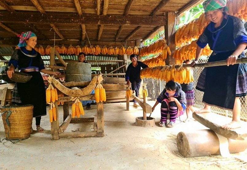 Đặc sản độc nhất vô nhị được ví như "cơm vàng" của người H’Mông ở Hà Giang