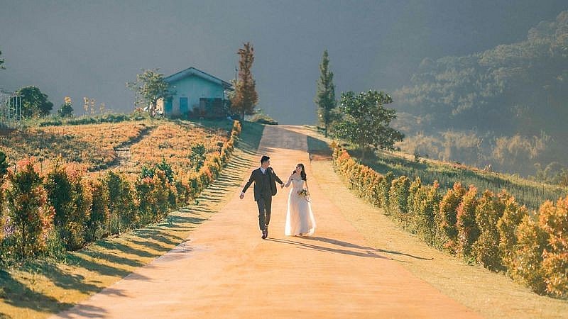 The Florest – Hoa Trong Rừng