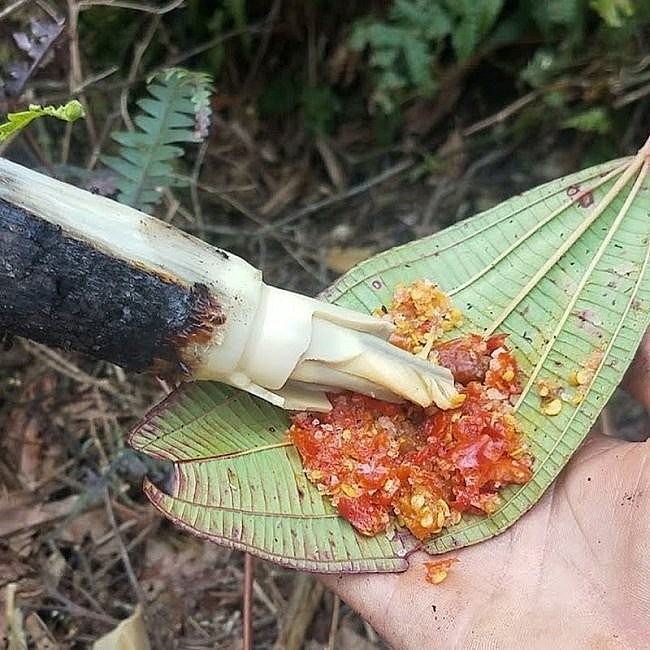 Đọt mây chấm muối ớt...