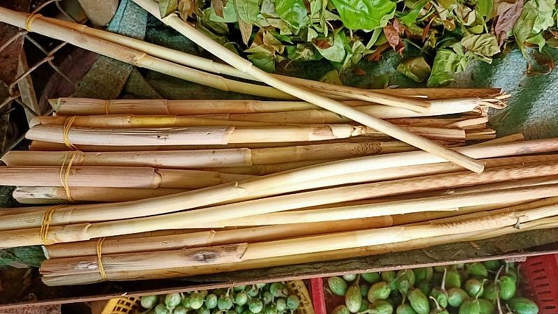 Đọt mây, đặc sản Đắk Lắk