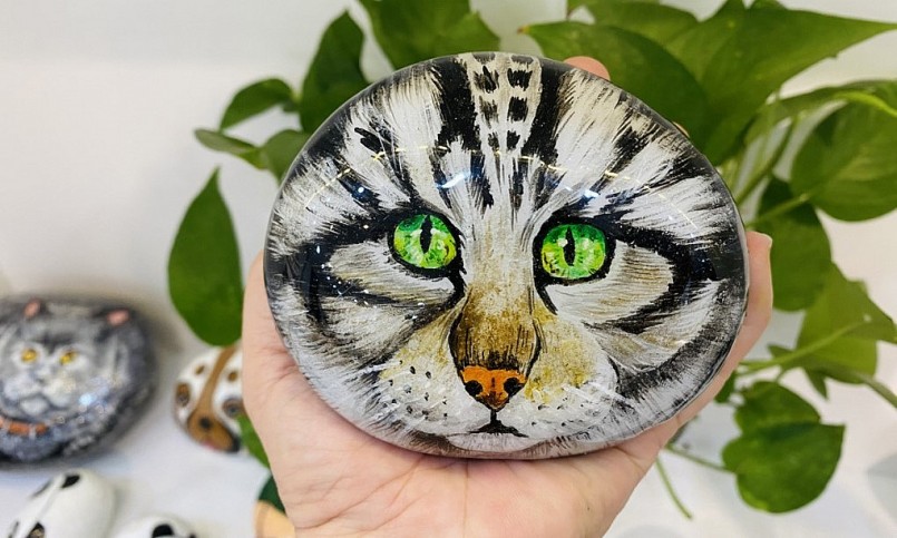 Viên đã cuội biến thành bức tranh sống động.