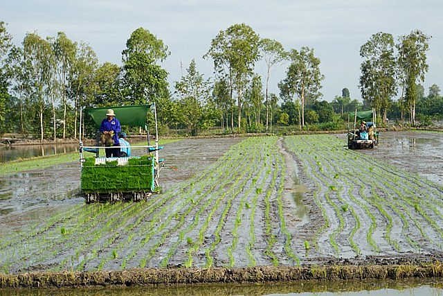 Cơ giới hóa nông nghiệp - Giải pháp khắc phục tình trạng thiếu lao động