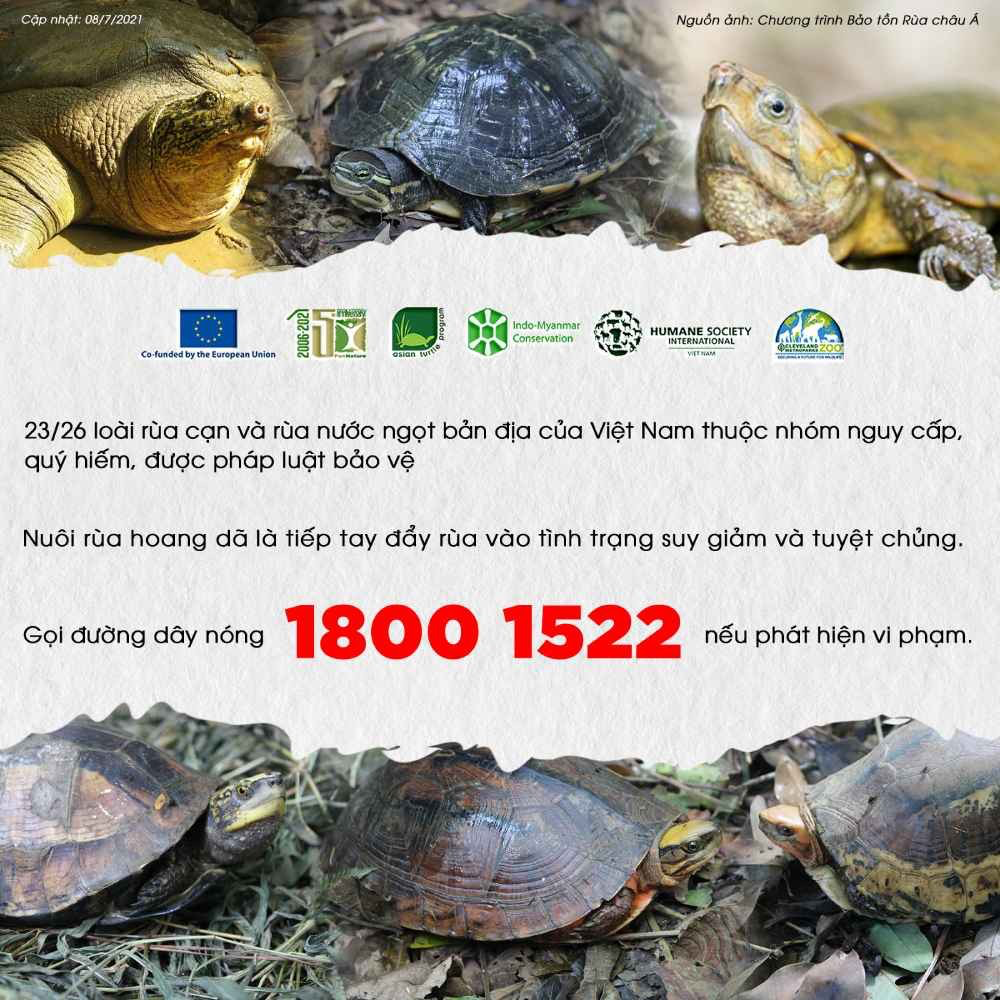 Mọi người dân phát hiện hành vi nuôi, nhốt động vật hoang dã, hãy đến cơ quan Công an gần nhất để trình báo hoặc gọi vào Đường dây nóng bảo vệ Động vật hoang dã, số điện thoại 1800-1522.