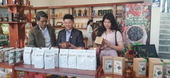 Lạc Dương (Lâm Đồng): Chứng nhận 16 sản phẩm OCOP đạt 3 sao