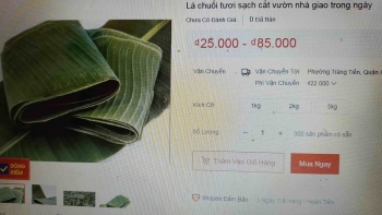Những loại lá ở quê cho không ai lấy bỗng thành “hàng hot” trên chợ mạng
