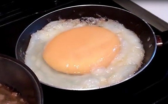 Giá trị dinh dưỡng trứng đà điểu rất cao