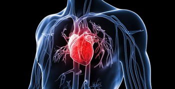 Người trẻ và nguy cơ mắc các bệnh về tim mạch