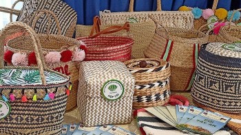 Thái Bình đẩy mạnh xây dựng sản phẩm OCOP nhằm phát triển kinh tế vùng nông thôn