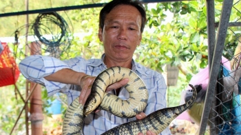 Bắt được con rắn khủng cho vào lu nuôi chơi bất ngờ đẻ sòn sòn thu trăm triệu mỗi năm