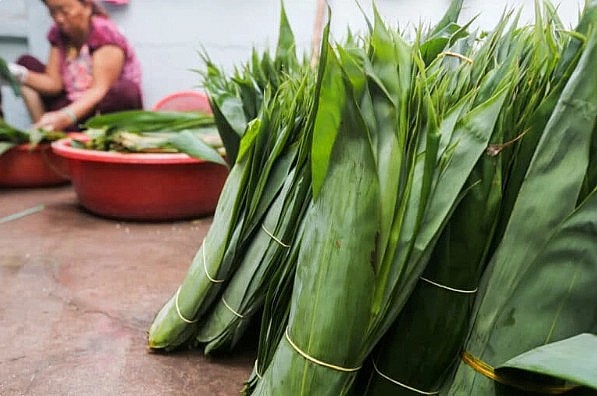 Lá tre không chỉ ứng dụng làm thuốc mà còn được dùng để gói bánh