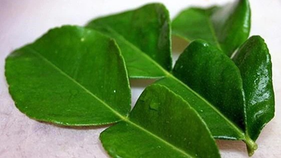 Loại lá tưởng chỉ để ăn với thịt gà, hoá ra còn có tác dụng giúp trẻ lâu, ngừa ung thư