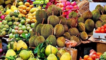 Lâm Đồng: Huyện Đạ Huoai tổ chức hội thi trái cây lần thứ I