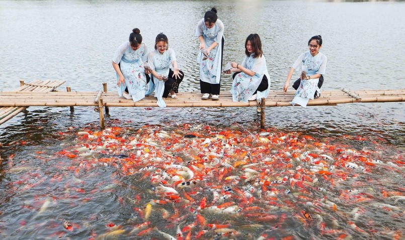  Nhiều người kỳ vọng hồ cá này sẽ trở thành điểm du lịch thu hút du khách, đặc biệt là du khách nước ngoài trong tương lai.