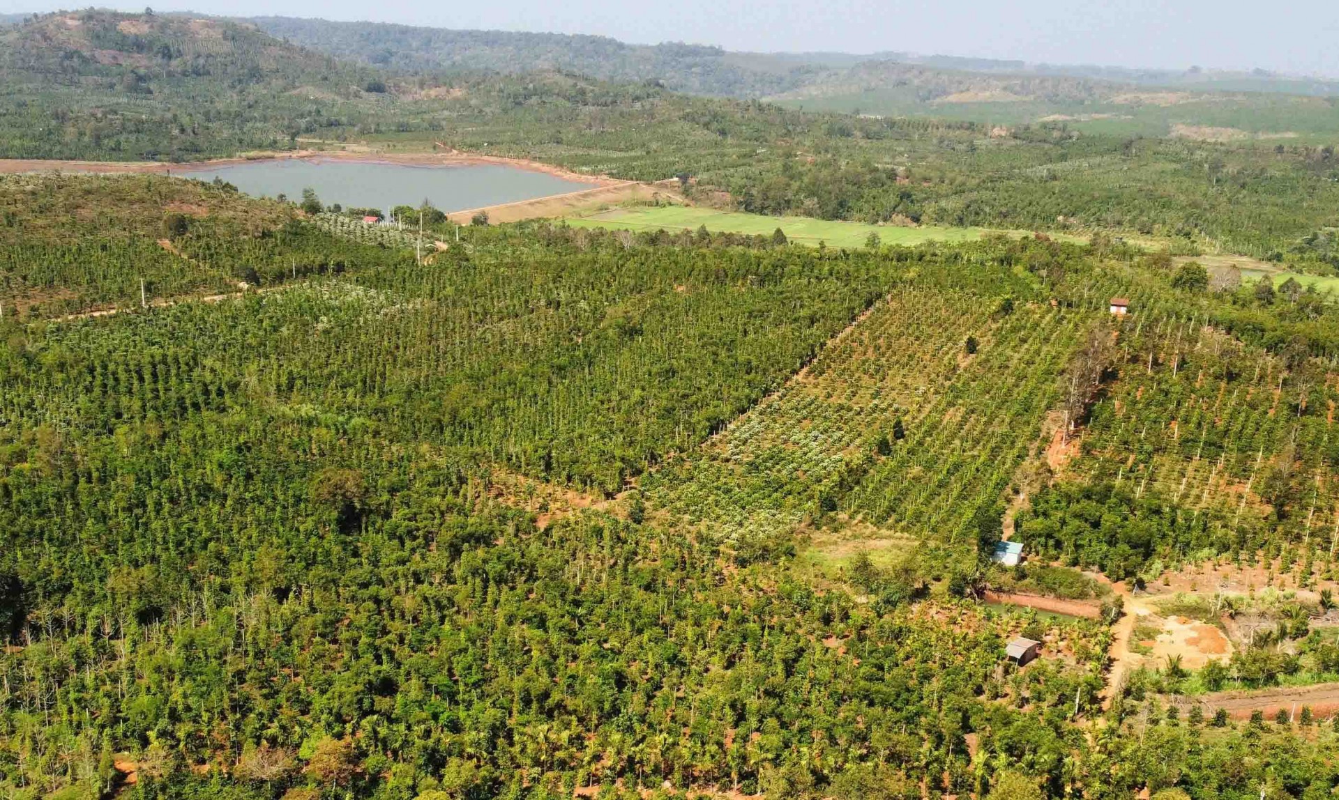 Chủ tịch UBND tỉnh Đắk Nông: Mỗi nhà báo là một tuyên truyền viên giúp Đắk Nông xúc tiến đầu tư hiệu quả Chủ tịch UBND tỉnh Đắk Nông: Mỗi nhà báo là một tuyên truyền viên giúp Đắk Nông xúc tiến đầu tư hiệu quả