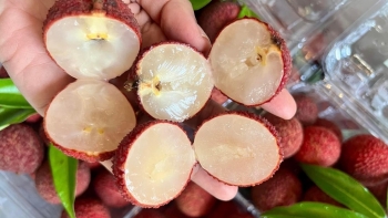 Những loại quả “hot” nhất mùa hè, giá cao ngất ngưởng vẫn “cháy” hàng