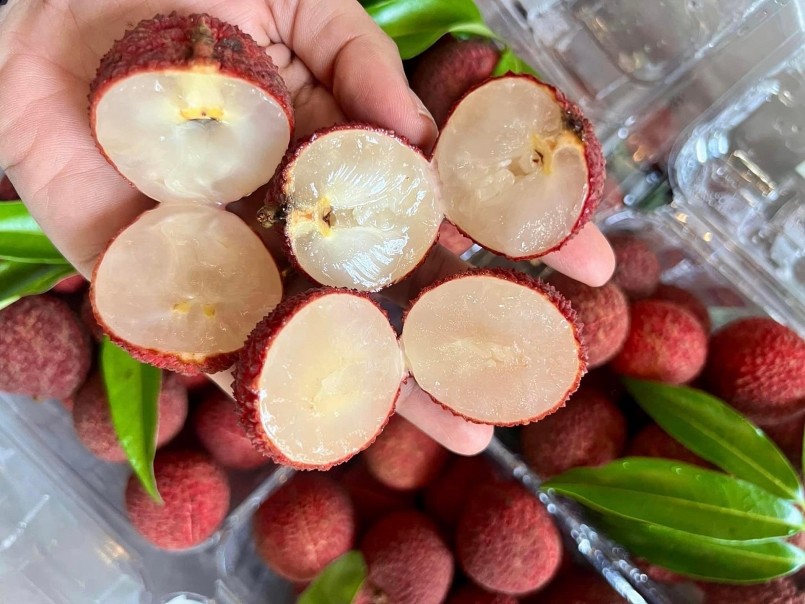 Vải thiều không hạt có giá bán tới 800 nghìn/kg