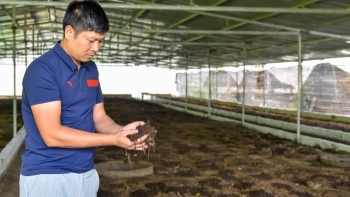 Học xong đại học làm đủ nghề vẫn túng, vay vốn nuôi loài chỉ ăn phân bất ngờ thu nhập nửa tỷ/năm
