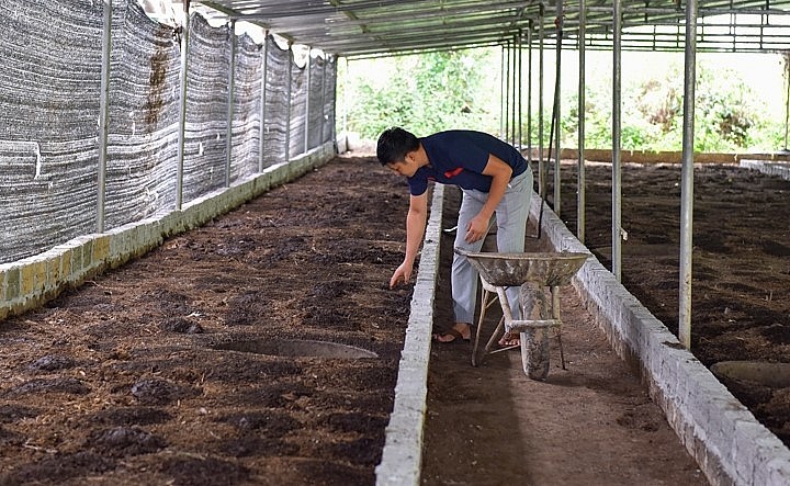 Bước ngoặt cuộc đời kể từ khi anh Tỉnh vay vốn 200 triệu lập trại nuôi giun quế. Bước ngoặt cuộc đời kể từ khi anh Tỉnh vay vốn 200 triệu lập trại nuôi giun quế.