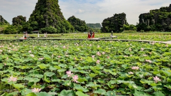 Đầm sen Vân Long dưới chân núi Ngọa Long đẹp cỡ nào mà chị em cứ nao nức phải đến một lần cho thỏa