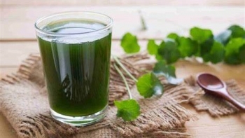 Những đại kỵ khi dùng nước rau má giải nhiệt ngày hè