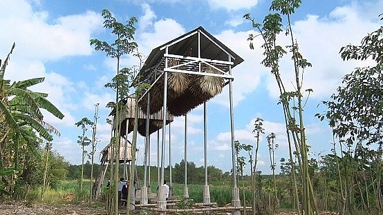 Từ ngày anh Trường áp dụng phương pháp nuôi dơi lấy phân đã đem lại thu nhập hàng trăm triệu mỗi năm.