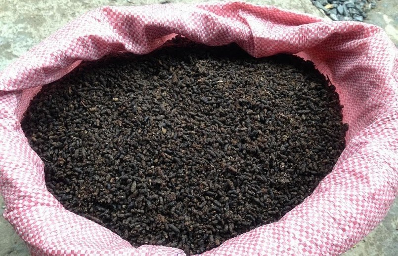 Phân dơi được các nhà vườn thu mua với giá cao.