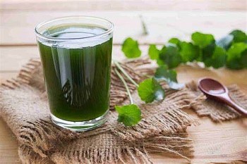 Những đại kỵ khi dùng nước rau má giải nhiệt ngày hè