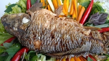 Bệnh gút nên ăn cá gì