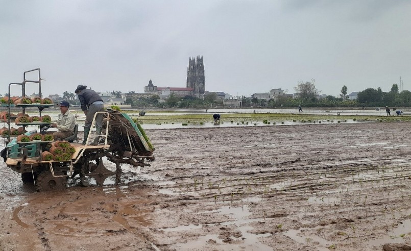 Những nông dân đại điền ở Thái Bình canh tác đồng ruộng bằng cơ giới hóa.