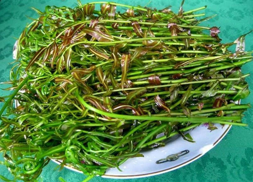 10 đặc sản Hậu Giang ngon tuyệt vời, mua về làm quà thì hết ý!