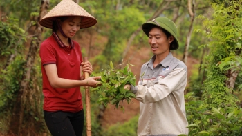 Ông chủ studio chụp ảnh rời thủ đô về núi rừng làm nông, trồng cây gì mà 4 năm sau đã thu 7 tỷ?