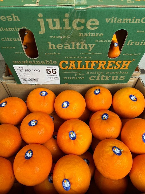 uýt Úc với giá chỉ 20.000-50.000 đồng/kg uýt Úc với giá chỉ 20.000-50.000 đồng/kg