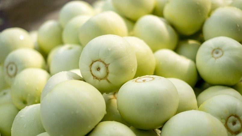 cần lưu ý để tránh không bị ngộ độc 