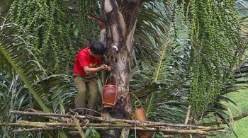 10 đặc sản Tây Nguyên mua về làm quà, có món cực kỳ hiếm không phải ai cũng được thưởng thức