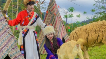 Biến nông trại thành nơi "sống ảo" khách nô nức bảo chẳng khác miền Tây hoang dã trên đất Việt