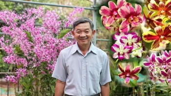 Đắm đuối với hoa lan đột biến, ngay cả khi thị trường trầm lắng vẫn thu nhập tiền tỷ mỗi năm