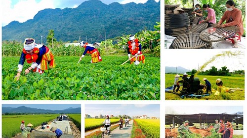 Quy định mới về cơ chế quản lý, tổ chức thực hiện các chương trình mục tiêu quốc gia