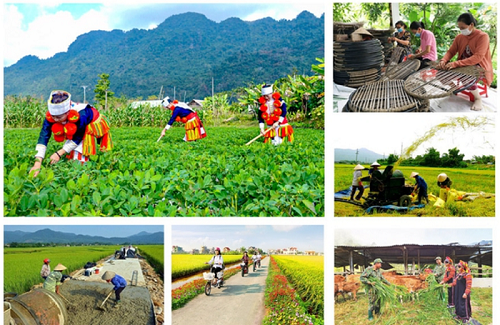 Quy định mới về cơ chế quản lý, tổ chức thực hiện các chương trình mục tiêu quốc gia