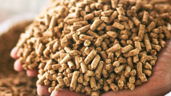 Xuất khẩu thức ăn gia súc 5 tháng giảm 12,8%