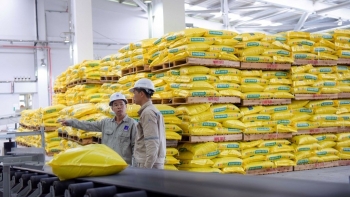 Thuế xuất khẩu phân bón NPK về 0% từ ngày 15/7/2023