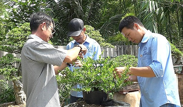Nghệ nhân Mai Trọng Đức (bìa phải) luôn học hỏi và chia sẻ kinh nghiệm cho các thành viên trong Câu lạc bộ Bonsai TP Sa Đéc, Đồng Tháp.