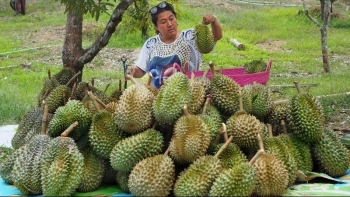 Không chỉ thắng thế tại Trung Quốc, sầu riêng Thái Lan xuất khẩu sang Việt Nam tăng vọt 10.769%