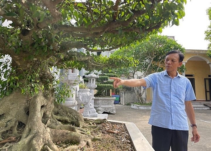 Ông Nguyễn Thế Lực, trưởng thôn Vị Khê kể về đôi cây bảo vật của ông ngoại mình tặng cho làng.