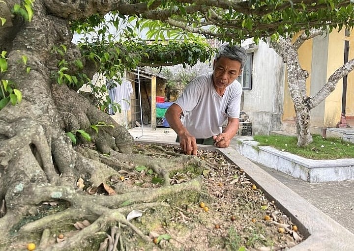 Đôi sanh cổ được coi là biểu tượng của làng nghề hơn 800 năm tuổi được người dân bảo vệ chăm sóc.