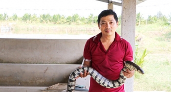 Đánh liều bắt rắn tự nhiên về nhân giống, 2 anh nông dân bỗng thành ông chủ, thu nhập trăm triệu mỗi năm