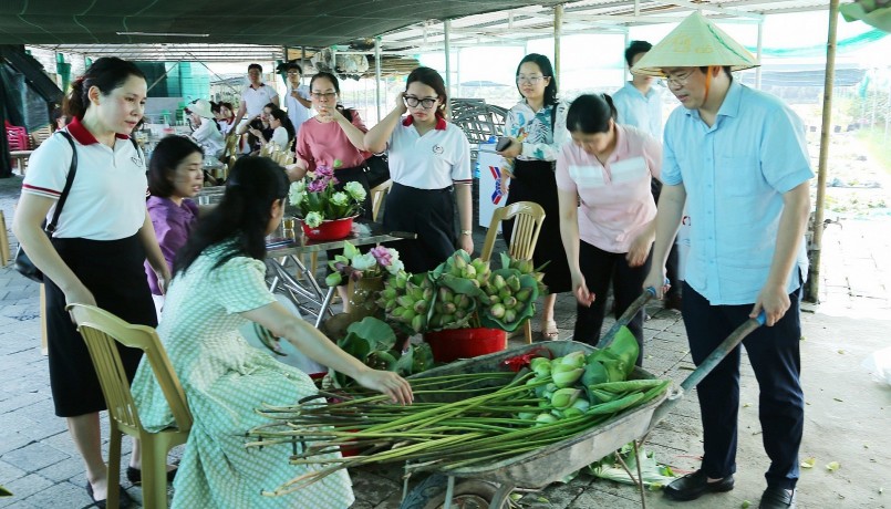 Đến HTX, ngoài chụp ảnh, du khách còn có thể trải nghiệm thu hoạch sen, học cách cắm sen.