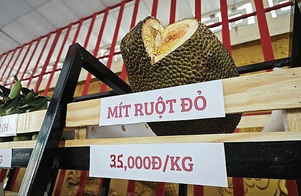 Năm nay mít ruột đỏ nguyên trái giảm bất ngờ chỉ còn 35.000 đồng/kg. Năm nay mít ruột đỏ nguyên trái giảm bất ngờ chỉ còn 35.000 đồng/kg.