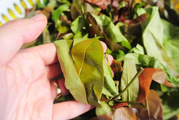 Lá bép chế biến nhiều món ăn ngon